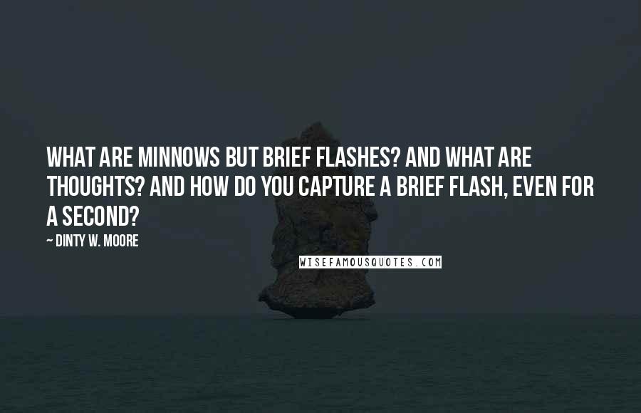 Dinty W. Moore Quotes: What are minnows but brief flashes? And what are thoughts? And how do you capture a brief flash, even for a second?