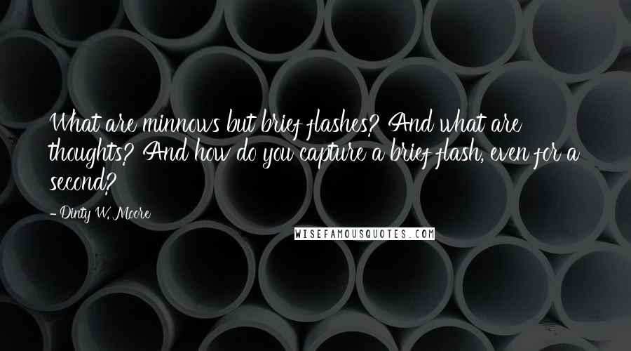 Dinty W. Moore Quotes: What are minnows but brief flashes? And what are thoughts? And how do you capture a brief flash, even for a second?