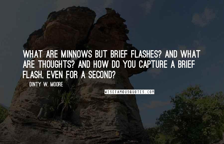 Dinty W. Moore Quotes: What are minnows but brief flashes? And what are thoughts? And how do you capture a brief flash, even for a second?