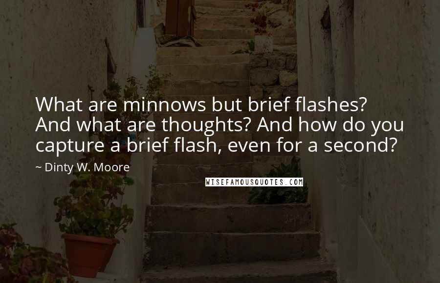 Dinty W. Moore Quotes: What are minnows but brief flashes? And what are thoughts? And how do you capture a brief flash, even for a second?