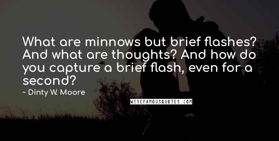 Dinty W. Moore Quotes: What are minnows but brief flashes? And what are thoughts? And how do you capture a brief flash, even for a second?
