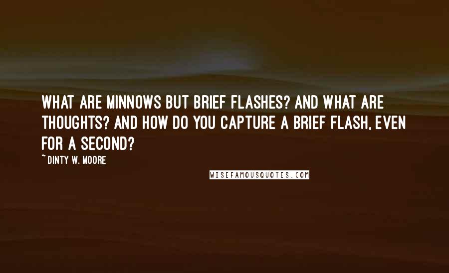 Dinty W. Moore Quotes: What are minnows but brief flashes? And what are thoughts? And how do you capture a brief flash, even for a second?