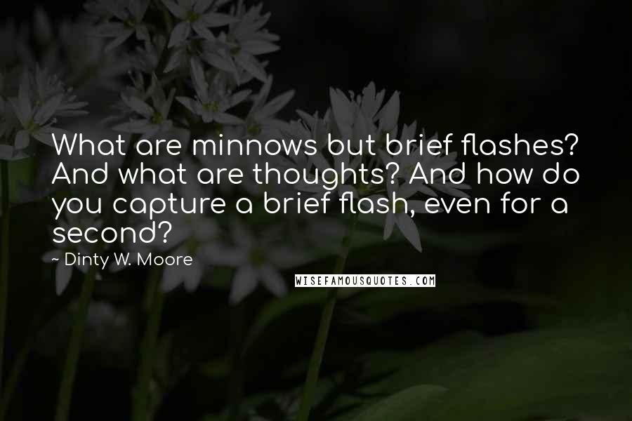 Dinty W. Moore Quotes: What are minnows but brief flashes? And what are thoughts? And how do you capture a brief flash, even for a second?