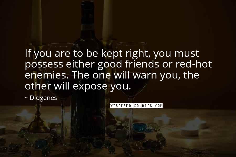 Diogenes Quotes: If you are to be kept right, you must possess either good friends or red-hot enemies. The one will warn you, the other will expose you.