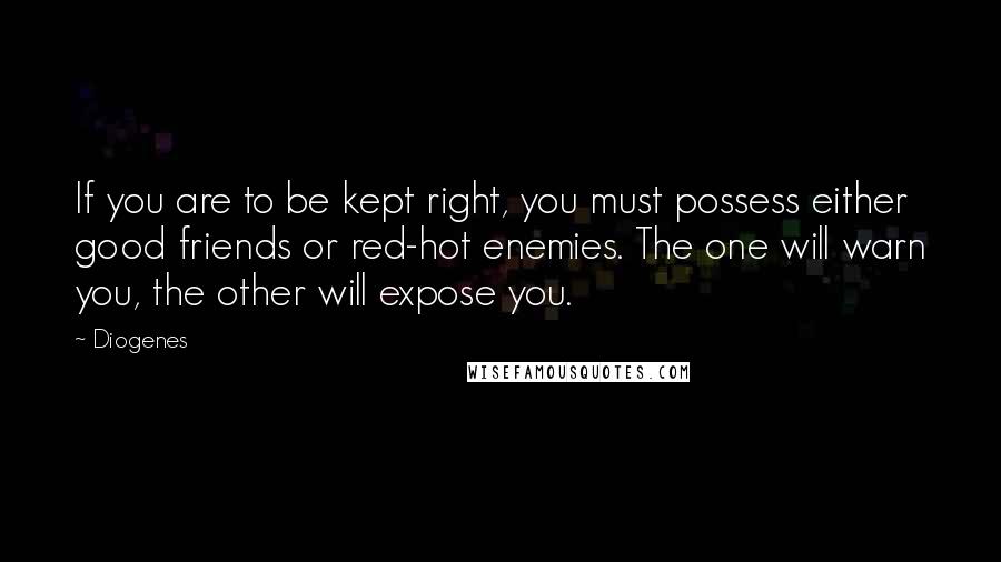 Diogenes Quotes: If you are to be kept right, you must possess either good friends or red-hot enemies. The one will warn you, the other will expose you.