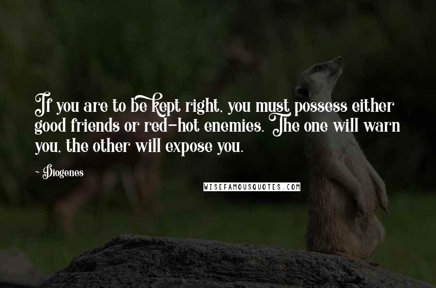 Diogenes Quotes: If you are to be kept right, you must possess either good friends or red-hot enemies. The one will warn you, the other will expose you.