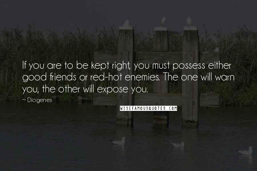 Diogenes Quotes: If you are to be kept right, you must possess either good friends or red-hot enemies. The one will warn you, the other will expose you.