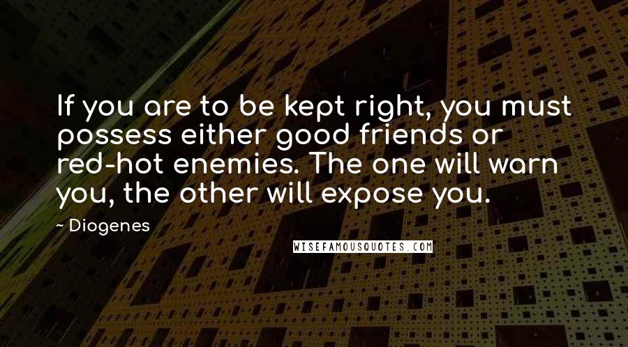 Diogenes Quotes: If you are to be kept right, you must possess either good friends or red-hot enemies. The one will warn you, the other will expose you.