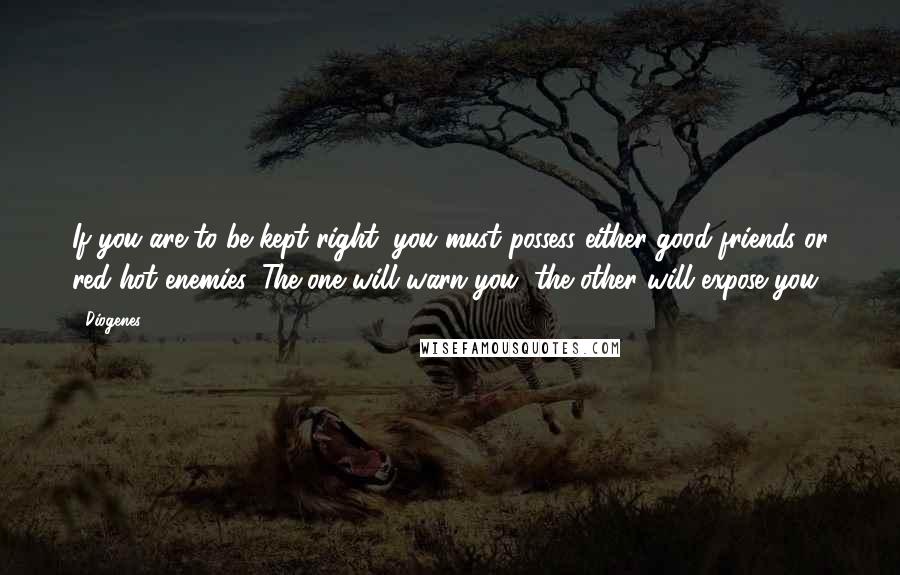 Diogenes Quotes: If you are to be kept right, you must possess either good friends or red-hot enemies. The one will warn you, the other will expose you.