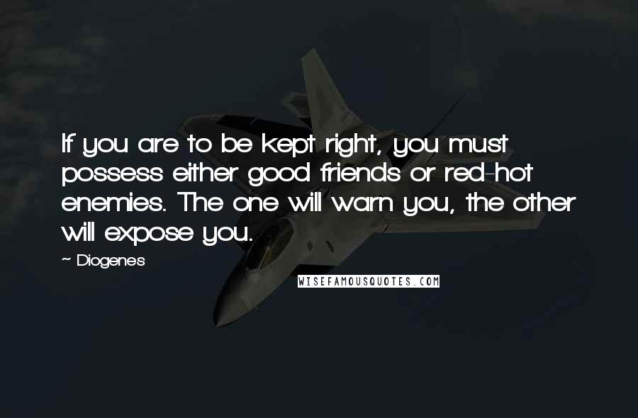 Diogenes Quotes: If you are to be kept right, you must possess either good friends or red-hot enemies. The one will warn you, the other will expose you.