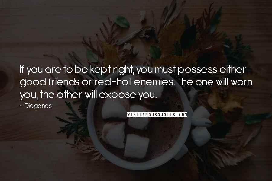 Diogenes Quotes: If you are to be kept right, you must possess either good friends or red-hot enemies. The one will warn you, the other will expose you.