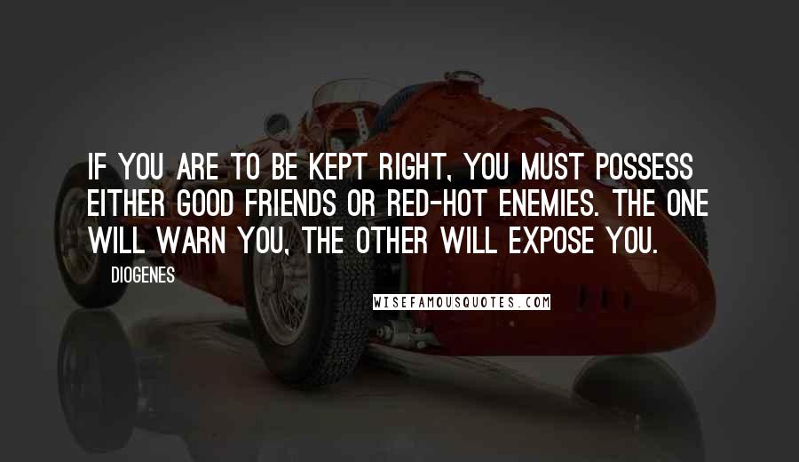 Diogenes Quotes: If you are to be kept right, you must possess either good friends or red-hot enemies. The one will warn you, the other will expose you.