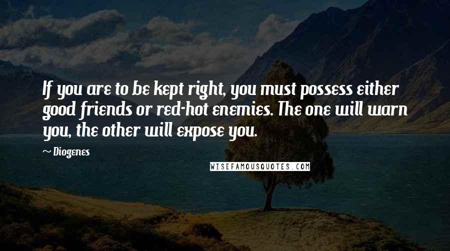 Diogenes Quotes: If you are to be kept right, you must possess either good friends or red-hot enemies. The one will warn you, the other will expose you.