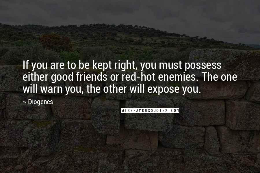 Diogenes Quotes: If you are to be kept right, you must possess either good friends or red-hot enemies. The one will warn you, the other will expose you.