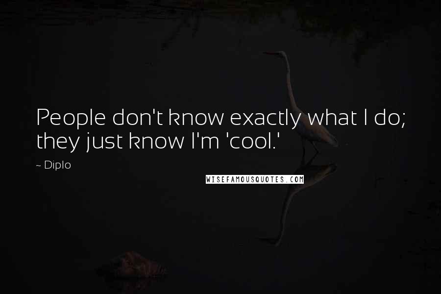 Diplo Quotes: People don't know exactly what I do; they just know I'm 'cool.'