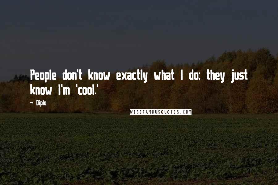 Diplo Quotes: People don't know exactly what I do; they just know I'm 'cool.'