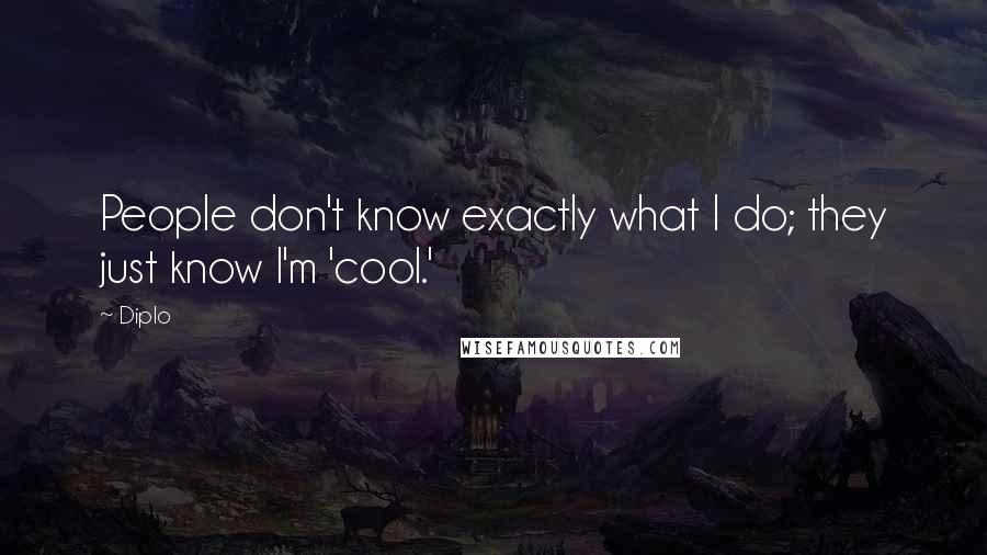 Diplo Quotes: People don't know exactly what I do; they just know I'm 'cool.'