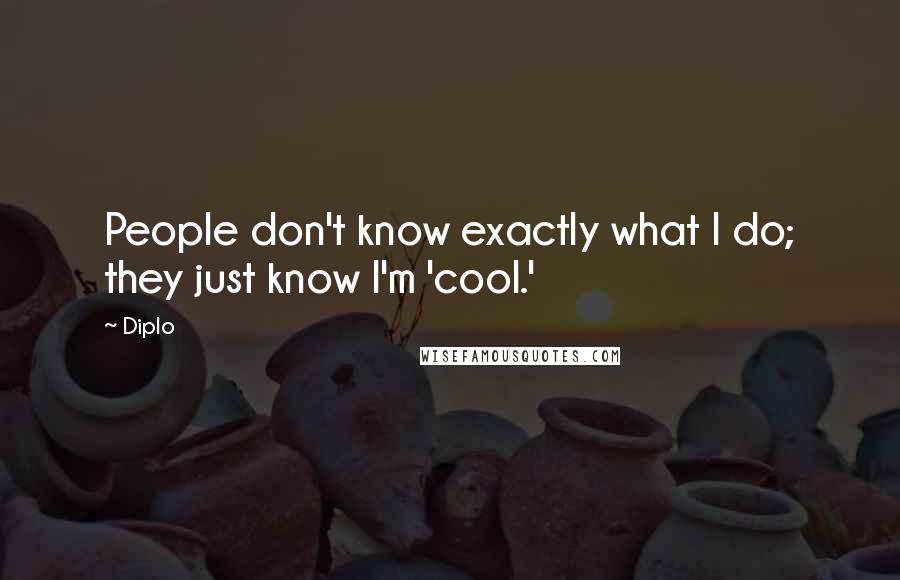 Diplo Quotes: People don't know exactly what I do; they just know I'm 'cool.'