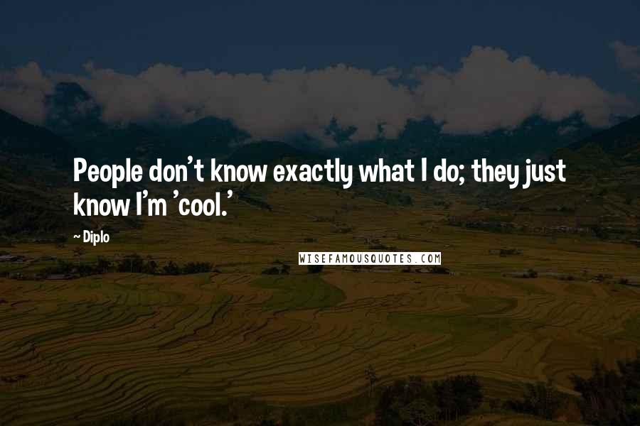 Diplo Quotes: People don't know exactly what I do; they just know I'm 'cool.'