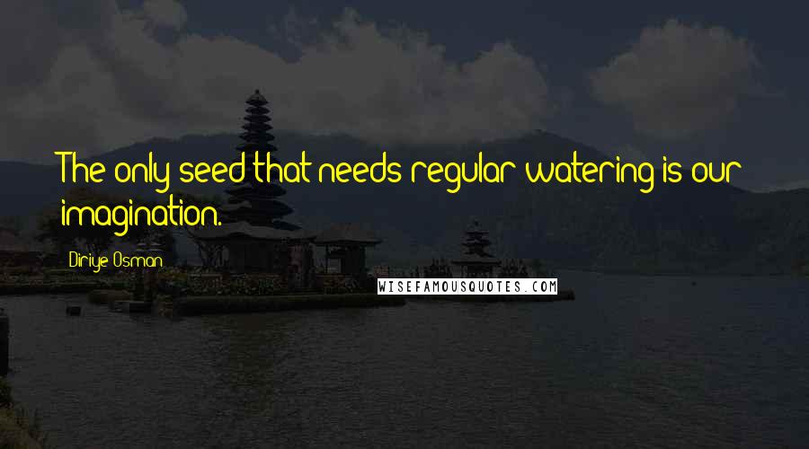 Diriye Osman Quotes: The only seed that needs regular watering is our imagination.