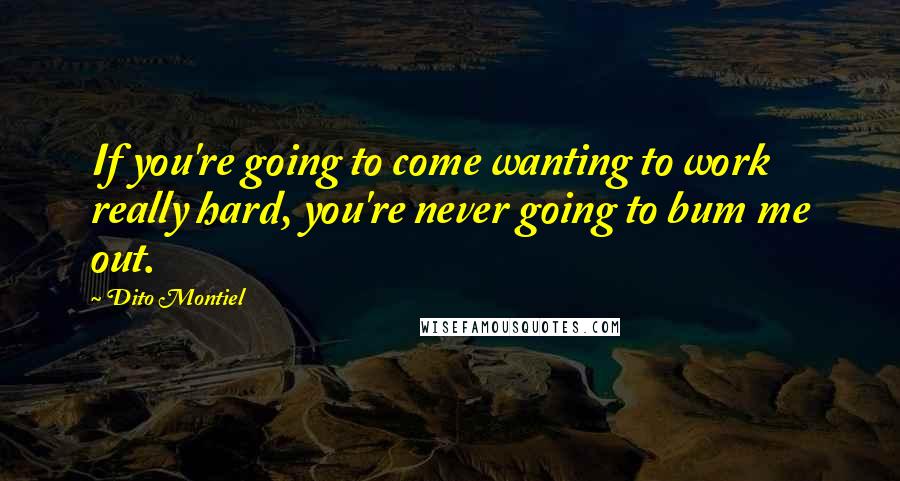 Dito Montiel Quotes: If you're going to come wanting to work really hard, you're never going to bum me out.