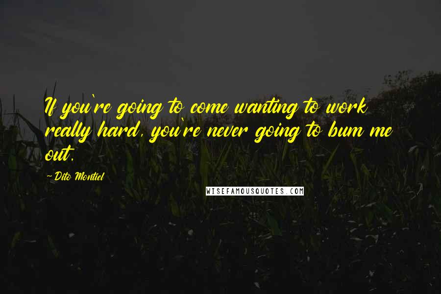 Dito Montiel Quotes: If you're going to come wanting to work really hard, you're never going to bum me out.