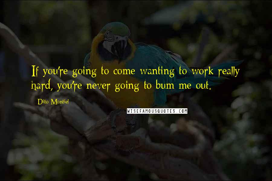 Dito Montiel Quotes: If you're going to come wanting to work really hard, you're never going to bum me out.