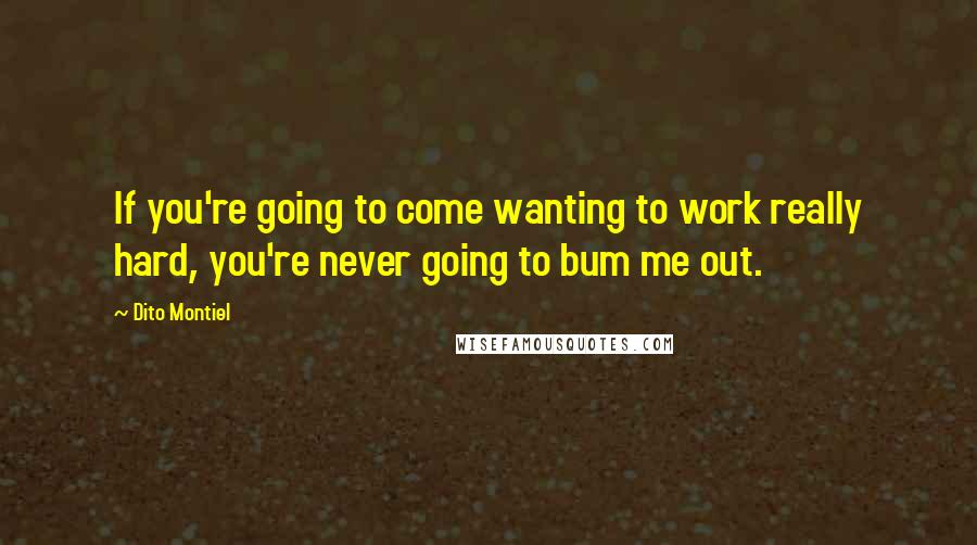 Dito Montiel Quotes: If you're going to come wanting to work really hard, you're never going to bum me out.