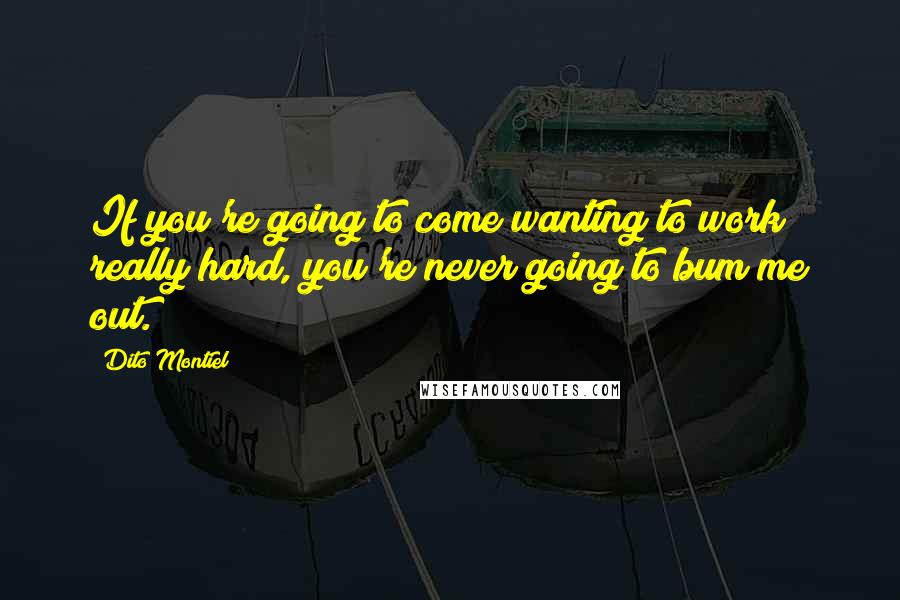 Dito Montiel Quotes: If you're going to come wanting to work really hard, you're never going to bum me out.