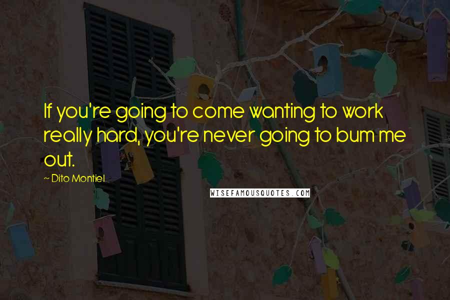 Dito Montiel Quotes: If you're going to come wanting to work really hard, you're never going to bum me out.