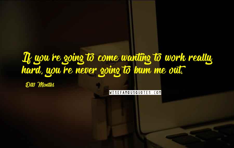 Dito Montiel Quotes: If you're going to come wanting to work really hard, you're never going to bum me out.