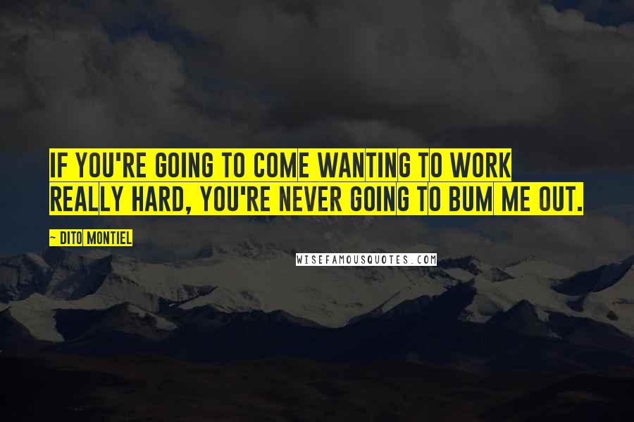 Dito Montiel Quotes: If you're going to come wanting to work really hard, you're never going to bum me out.