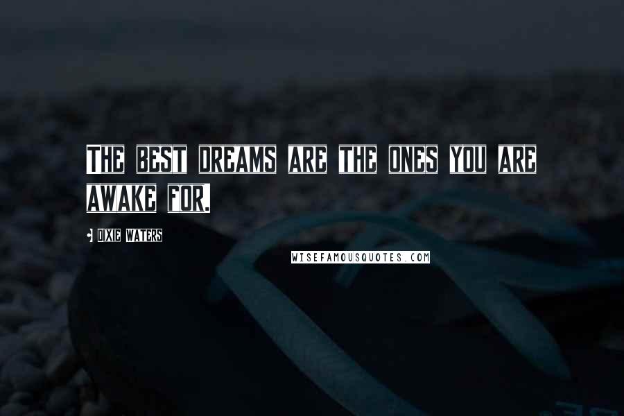 Dixie Waters Quotes: The best dreams are the ones you are awake for.