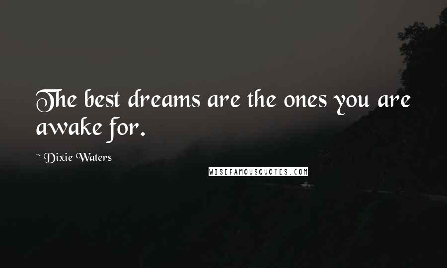 Dixie Waters Quotes: The best dreams are the ones you are awake for.