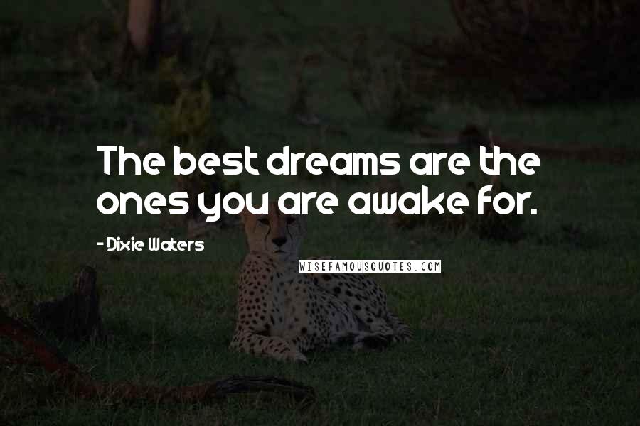 Dixie Waters Quotes: The best dreams are the ones you are awake for.