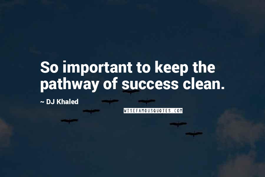 DJ Khaled Quotes: So important to keep the pathway of success clean.