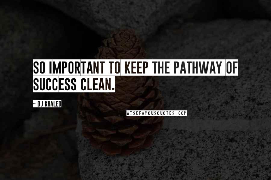 DJ Khaled Quotes: So important to keep the pathway of success clean.