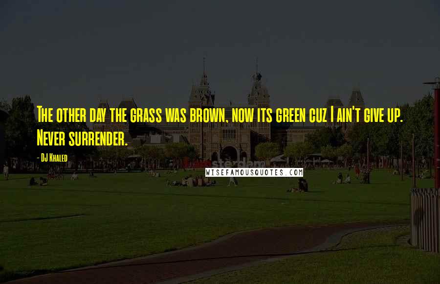 DJ Khaled Quotes: The other day the grass was brown, now its green cuz I ain't give up. Never surrender.