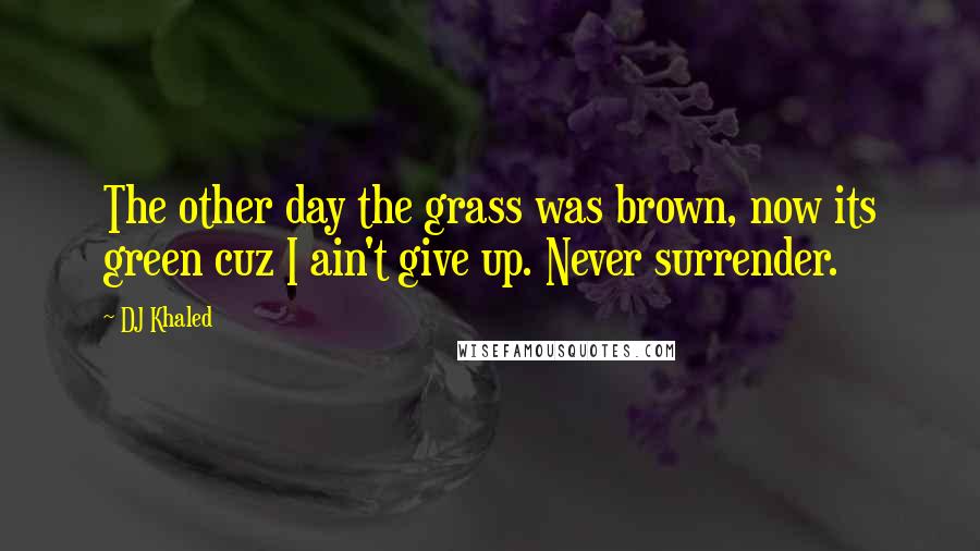 DJ Khaled Quotes: The other day the grass was brown, now its green cuz I ain't give up. Never surrender.