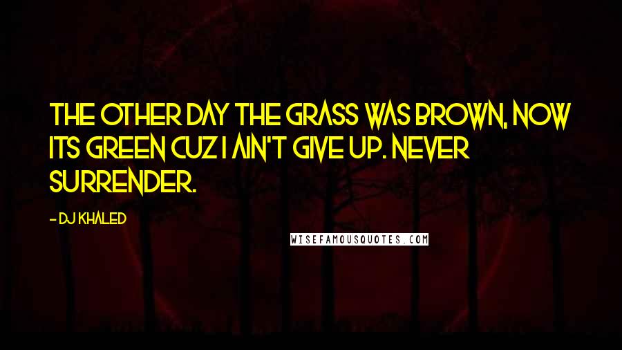 DJ Khaled Quotes: The other day the grass was brown, now its green cuz I ain't give up. Never surrender.