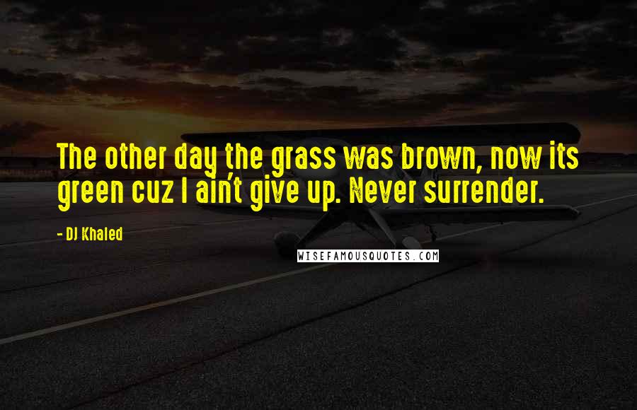 DJ Khaled Quotes: The other day the grass was brown, now its green cuz I ain't give up. Never surrender.