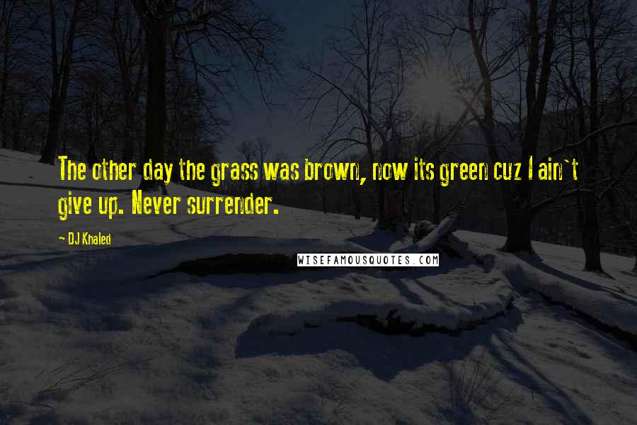 DJ Khaled Quotes: The other day the grass was brown, now its green cuz I ain't give up. Never surrender.