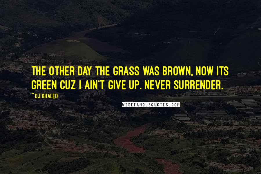 DJ Khaled Quotes: The other day the grass was brown, now its green cuz I ain't give up. Never surrender.