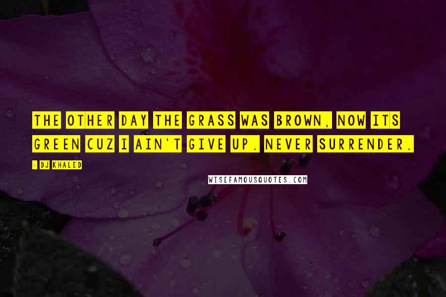 DJ Khaled Quotes: The other day the grass was brown, now its green cuz I ain't give up. Never surrender.