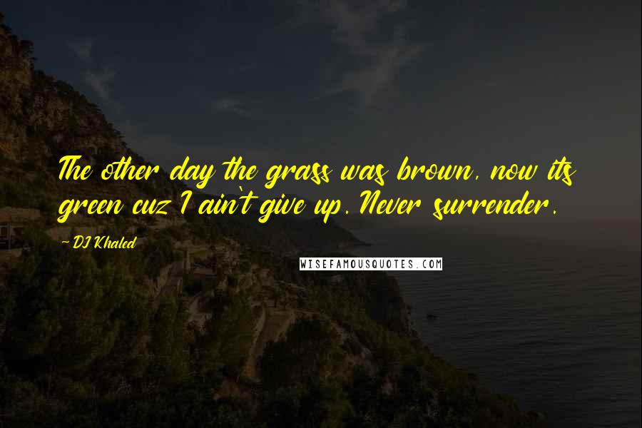 DJ Khaled Quotes: The other day the grass was brown, now its green cuz I ain't give up. Never surrender.