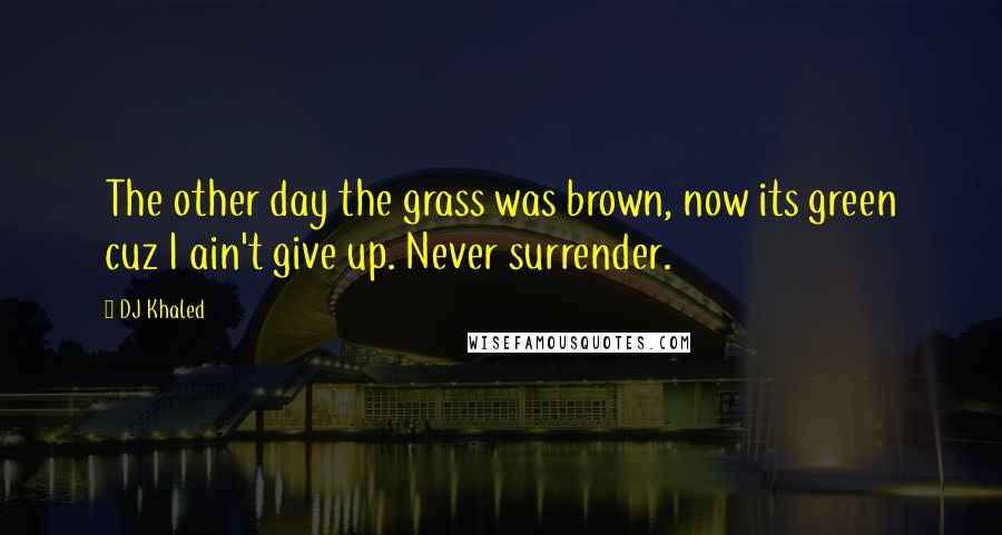 DJ Khaled Quotes: The other day the grass was brown, now its green cuz I ain't give up. Never surrender.