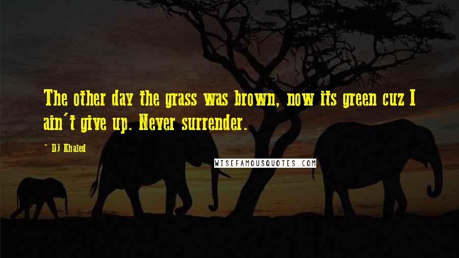 DJ Khaled Quotes: The other day the grass was brown, now its green cuz I ain't give up. Never surrender.