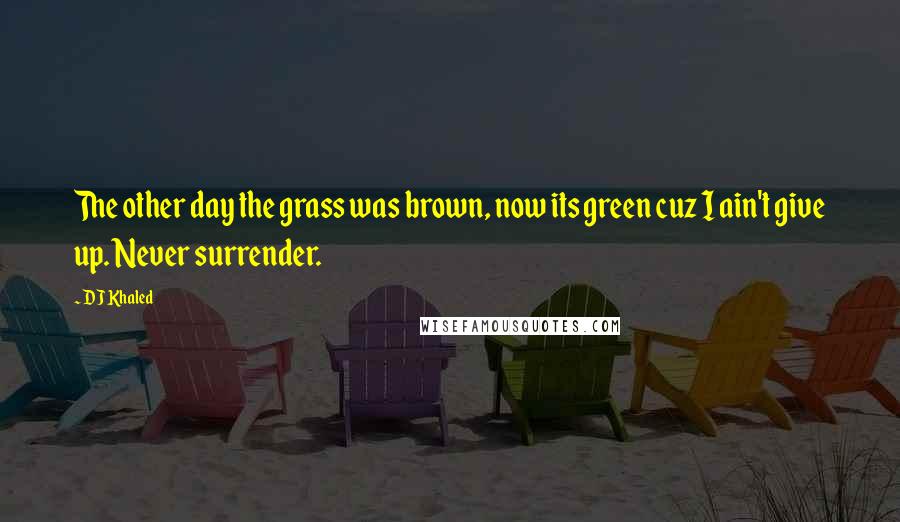 DJ Khaled Quotes: The other day the grass was brown, now its green cuz I ain't give up. Never surrender.