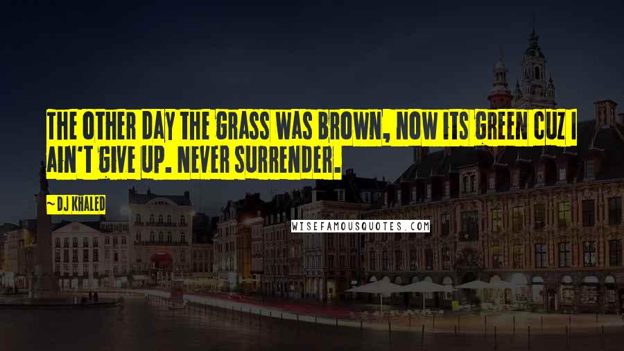 DJ Khaled Quotes: The other day the grass was brown, now its green cuz I ain't give up. Never surrender.