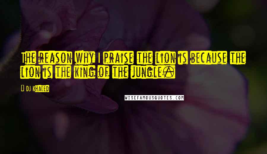 DJ Khaled Quotes: The reason why I praise the lion is because the lion is the king of the jungle.